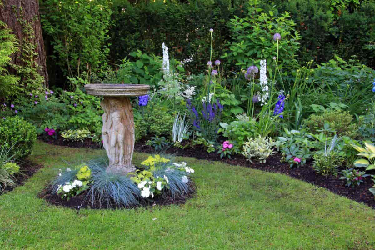 Bird Baths