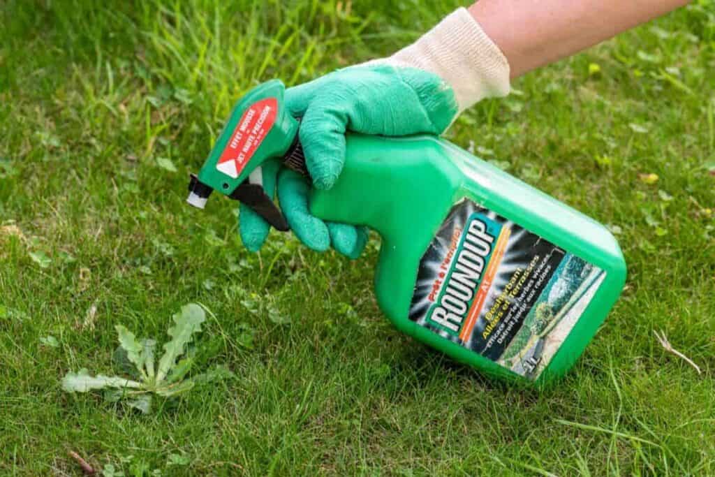 Weed Killers