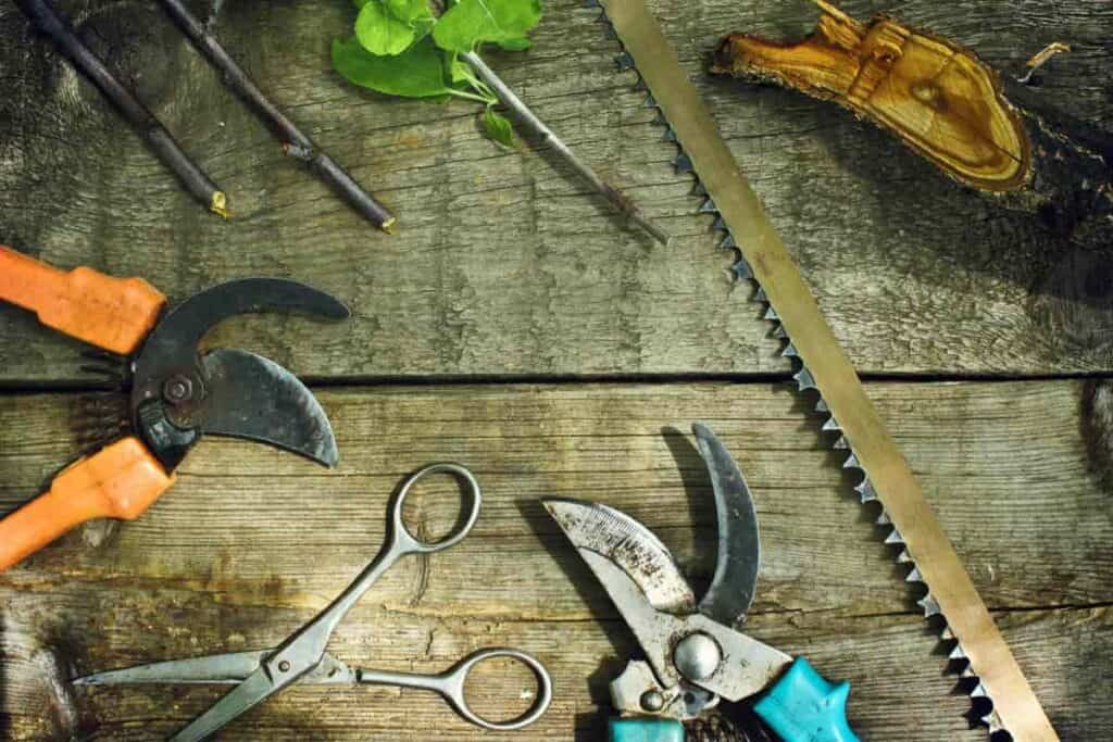 Proper Tools