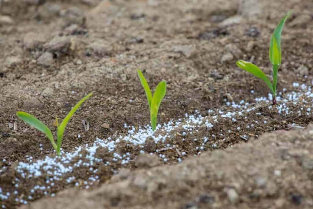 Agricultural Frit