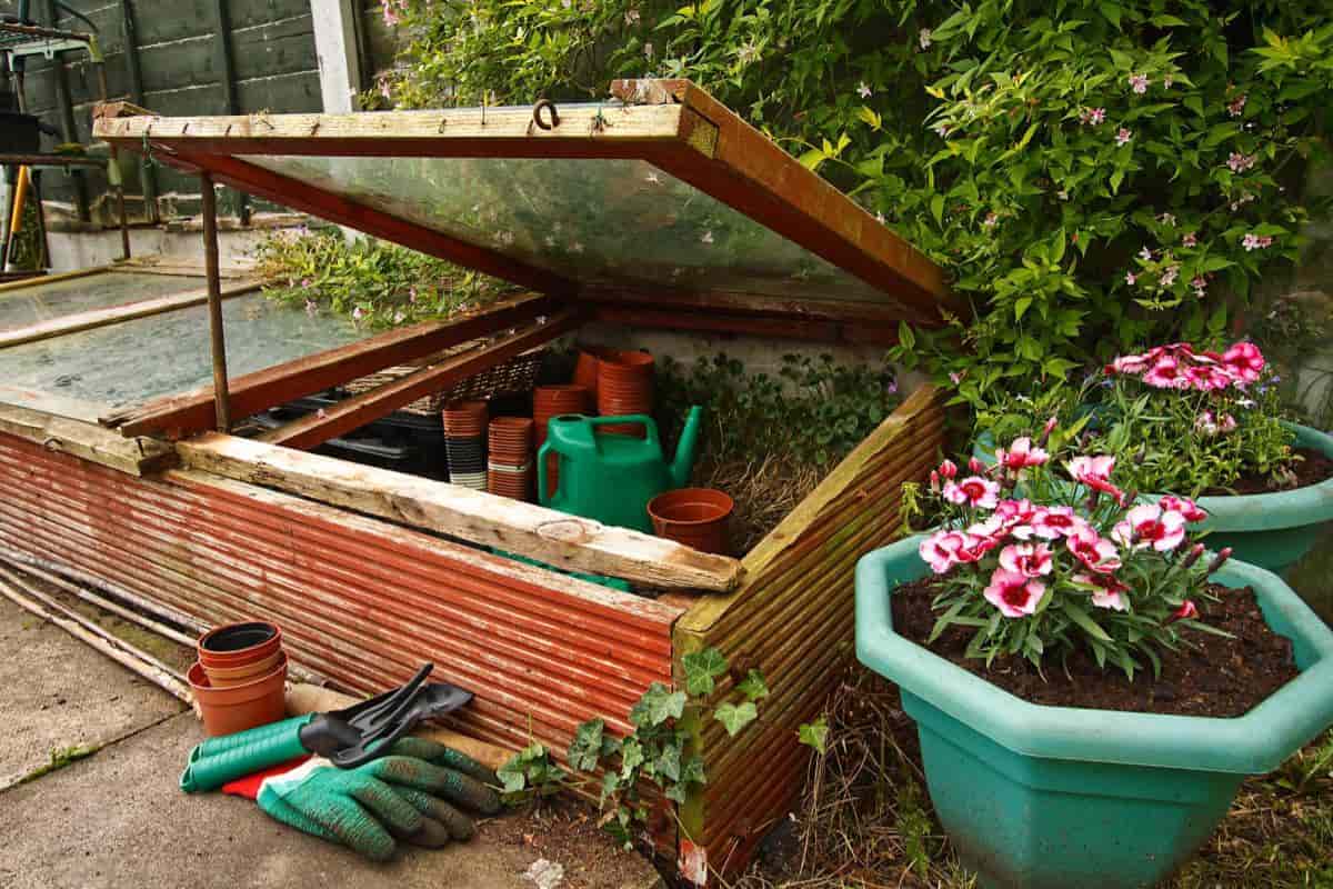 Coldframe Gardening