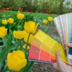 Pinterest Hidden Image