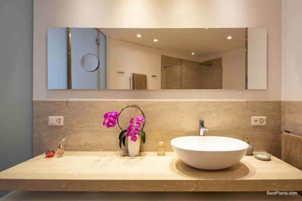 orchid bathroom