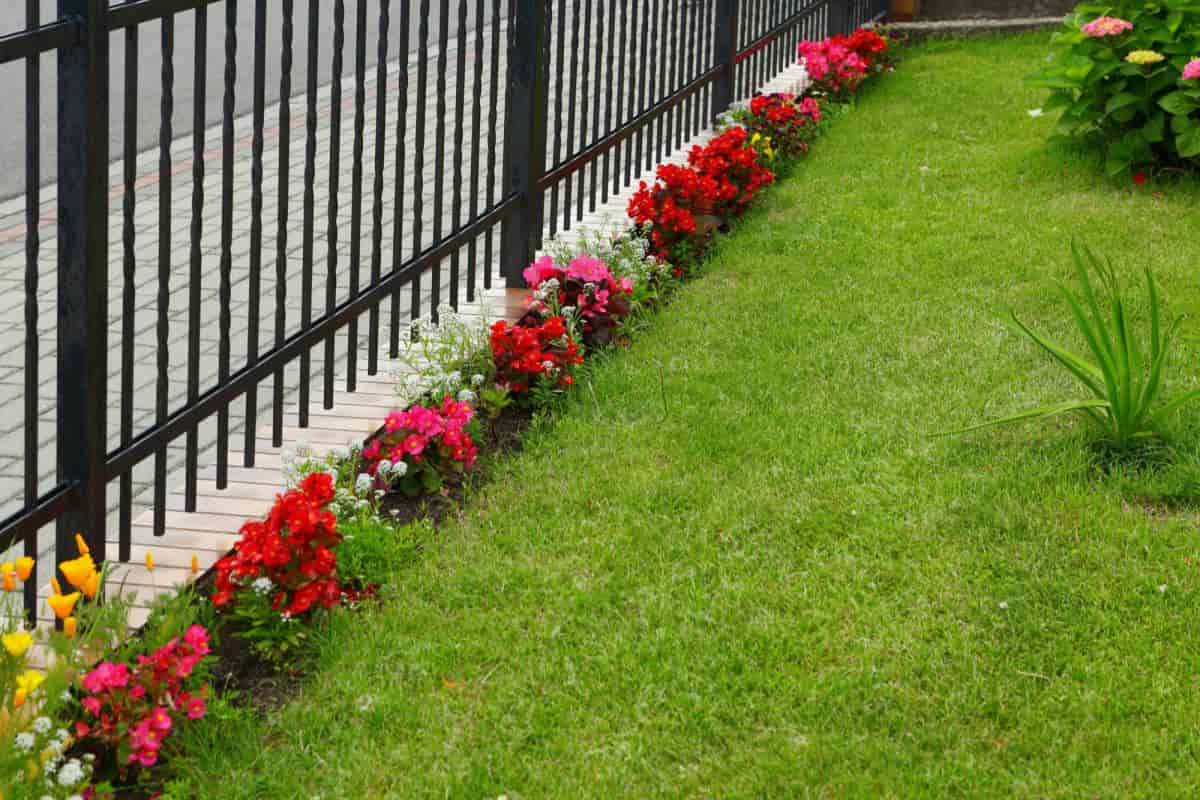 Maintaining Lawn