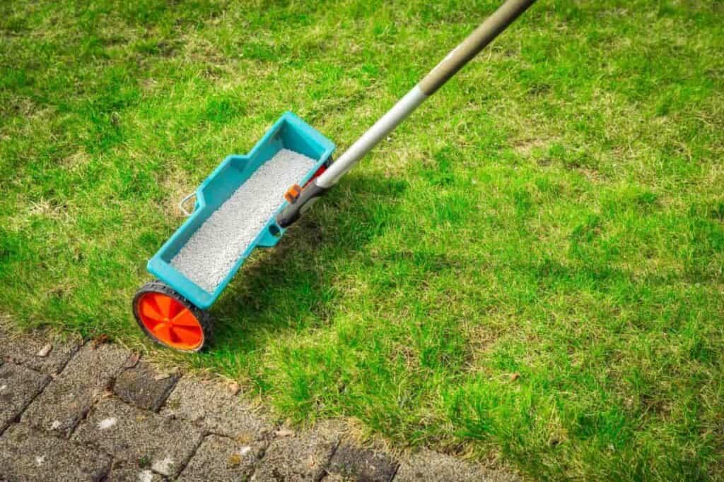 Lawn Care