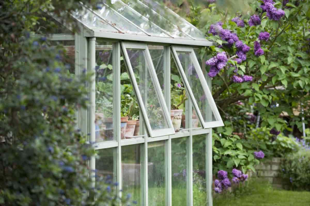 October Greenhouse