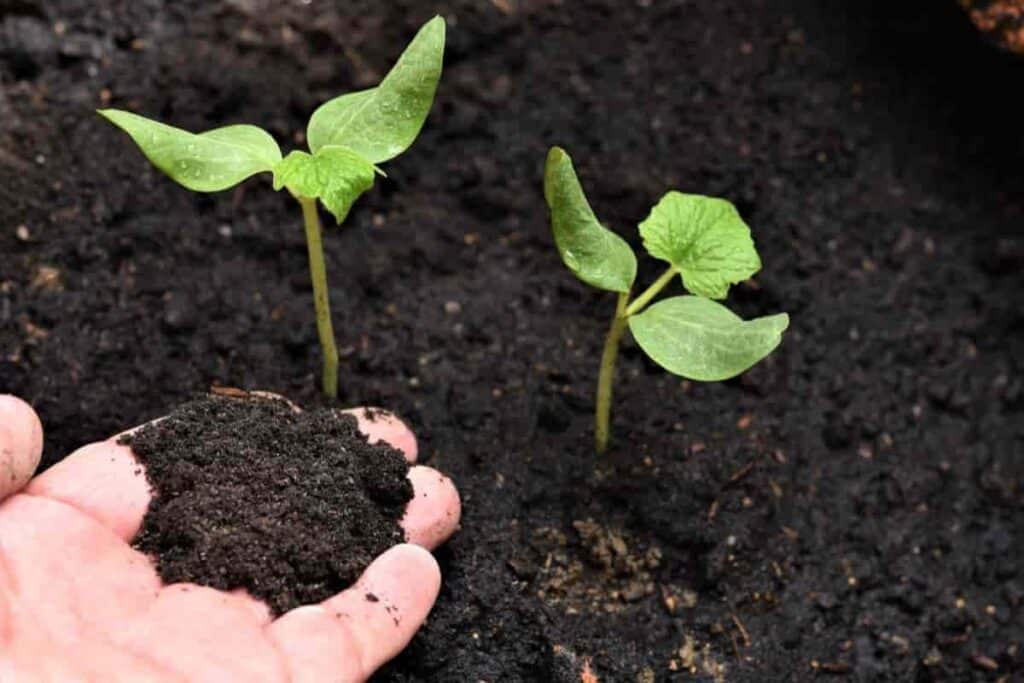 soil with Good Heart