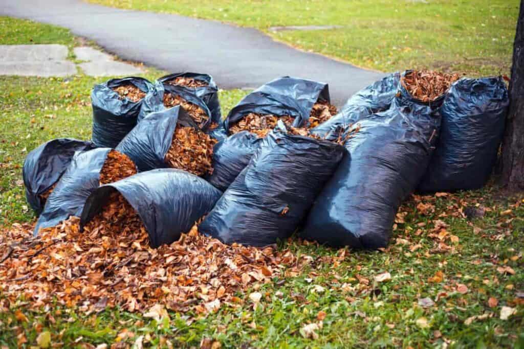 compost month for gardener