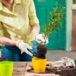 Pinterest Hidden Image