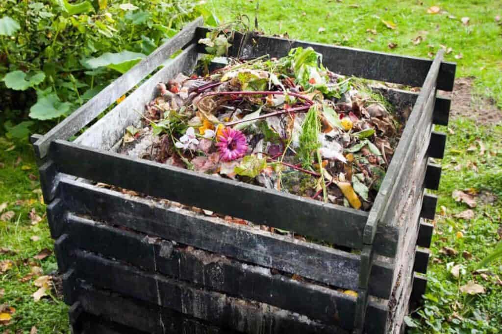 How to Use Compost