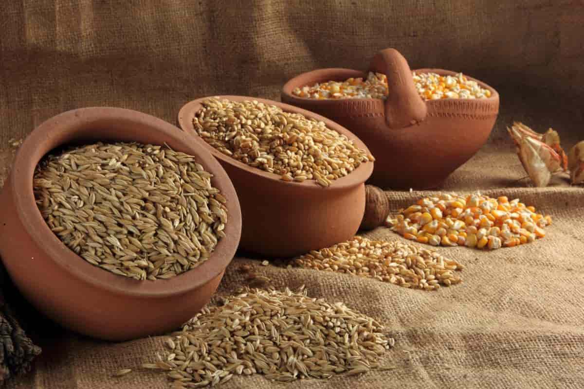 Seeds and Fruits