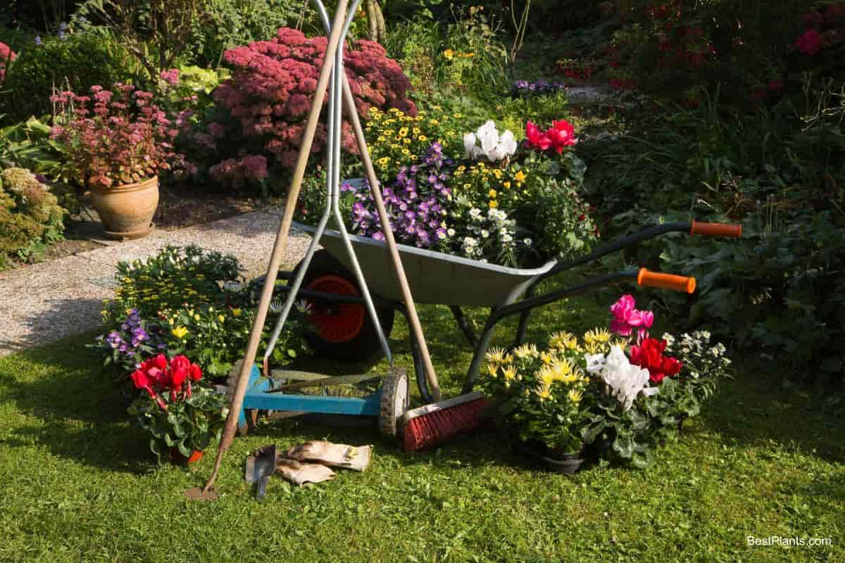 September Garden