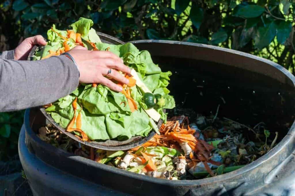 Use of Compost