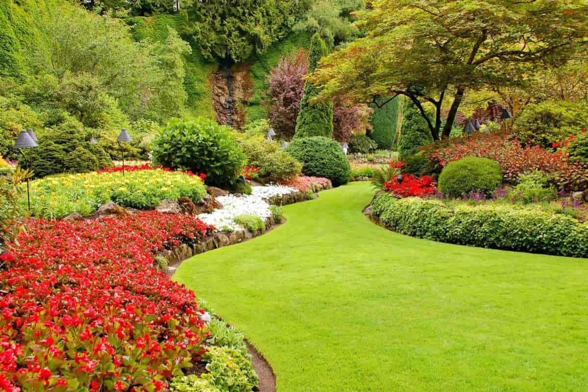 Garden Design