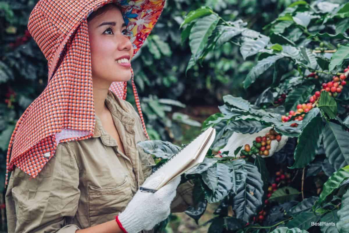 gardeners notebook