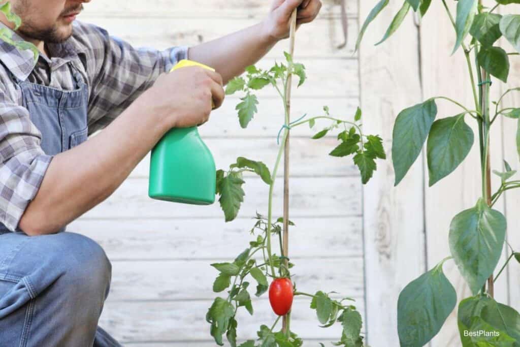 Chemicals For Gardening