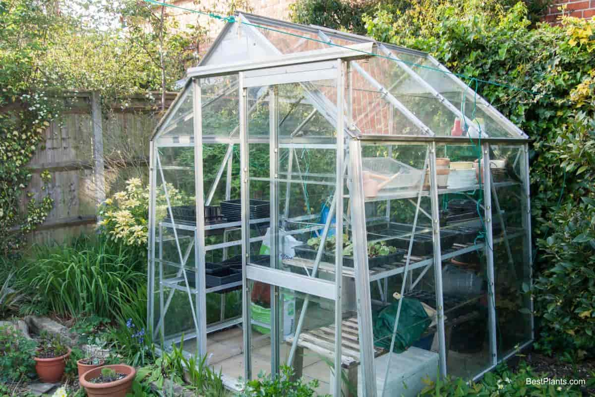 Aluminum Greenhouse