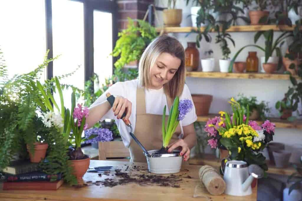 Forcing Bulbs