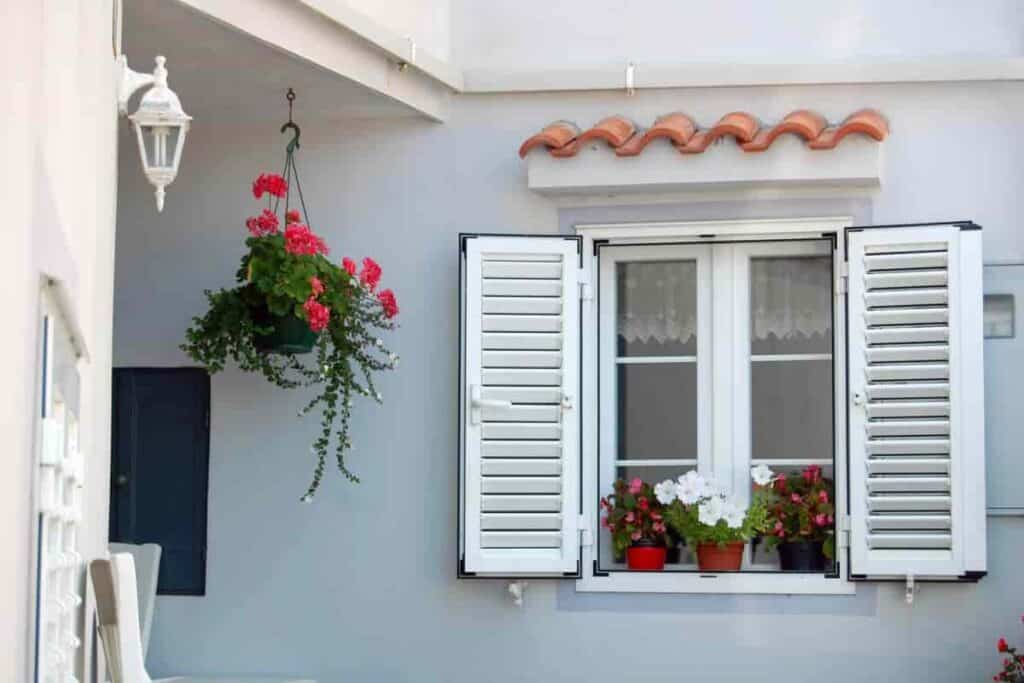 Apartment Begonias