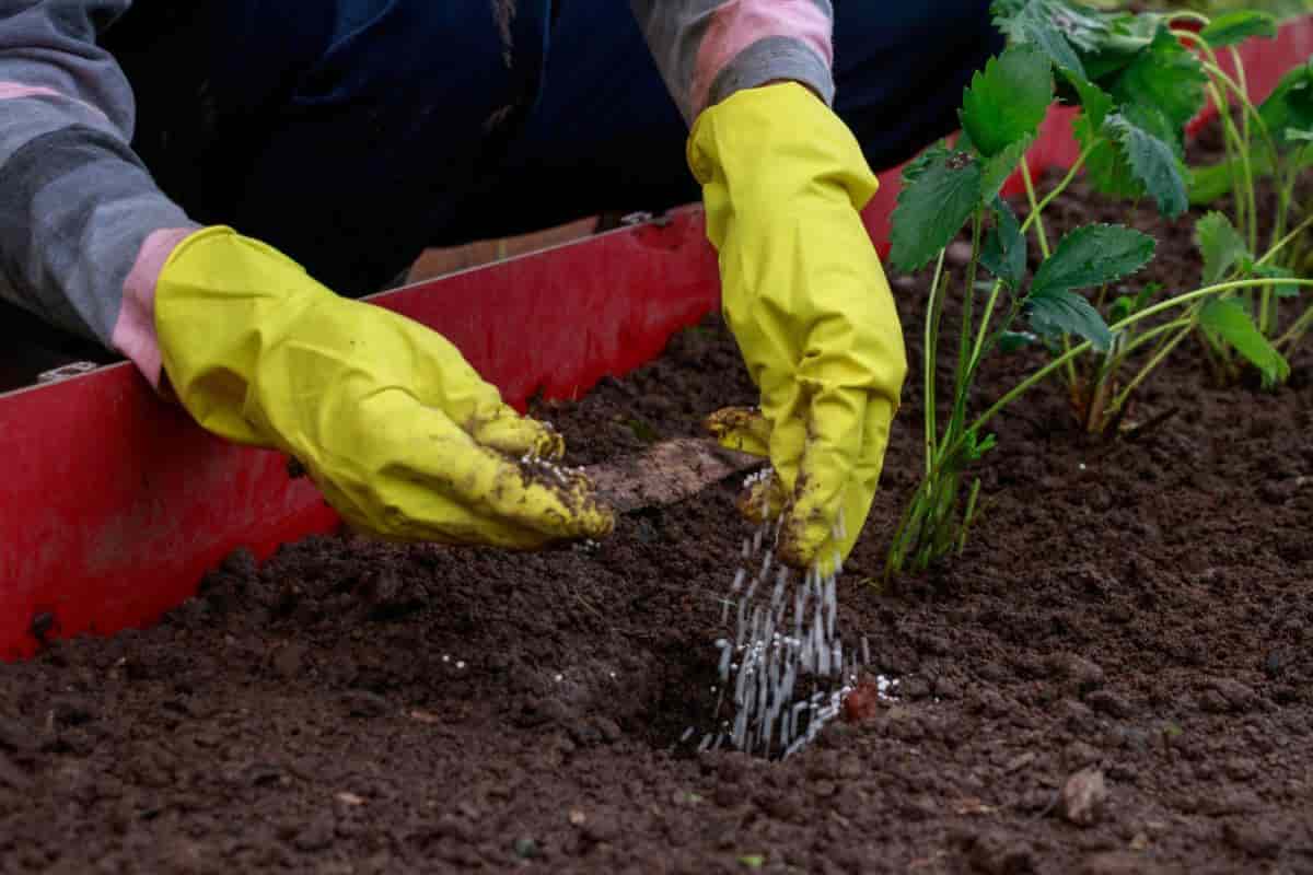 Soil Conditioning