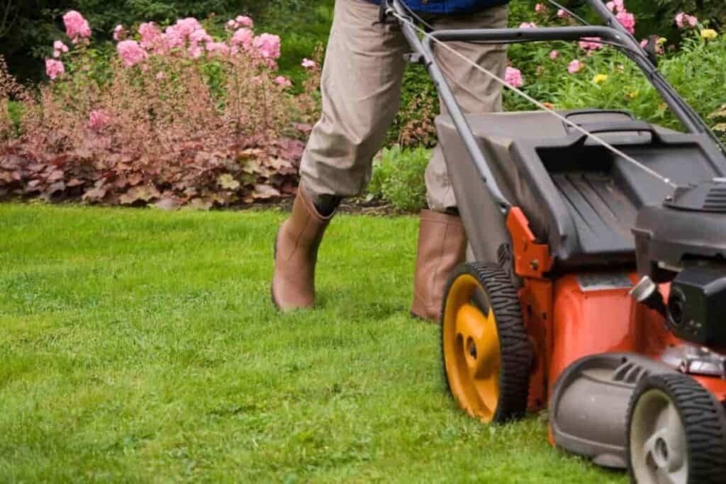 Mowing Lawn