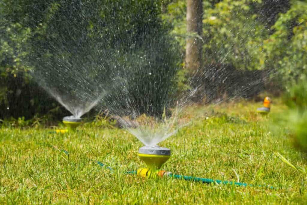 watering your lawn