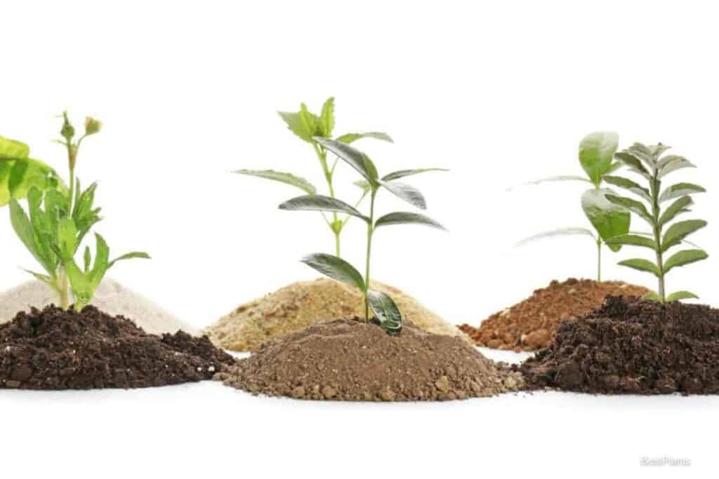 glossary garden soils