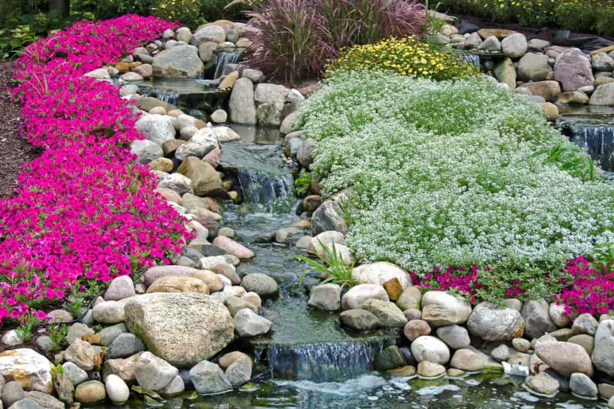 Rock Garden