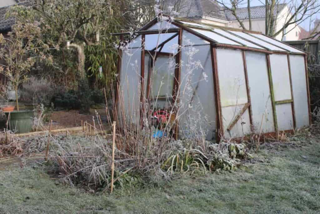 propagating by constant mist