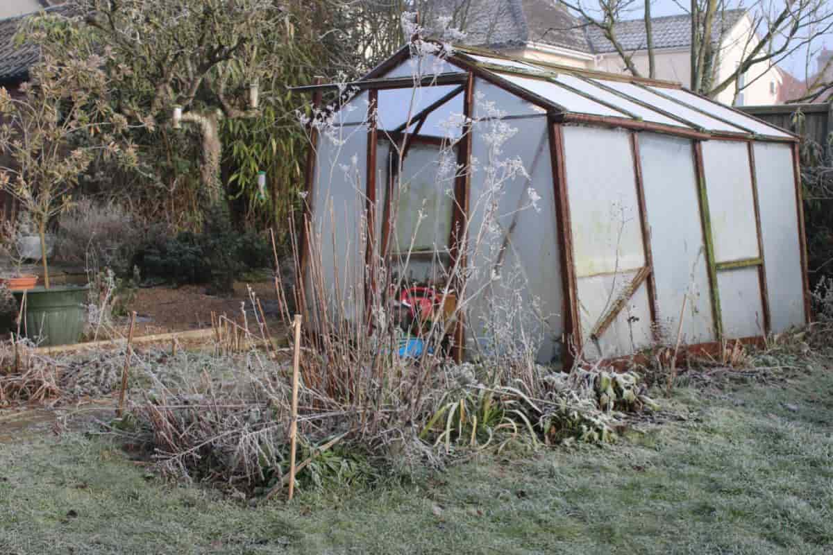 propagating by constant mist