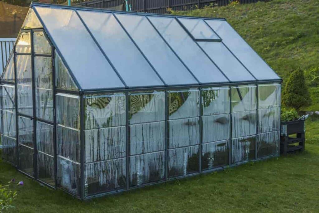 October Greenhouse