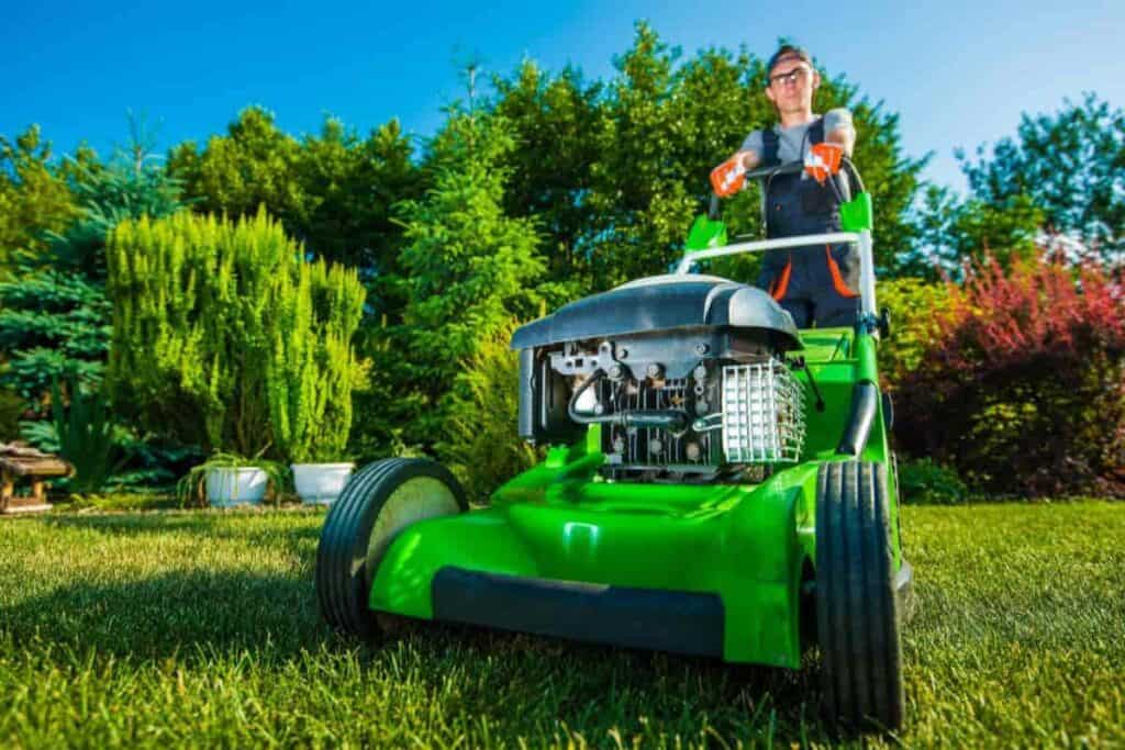 lawns need attention now