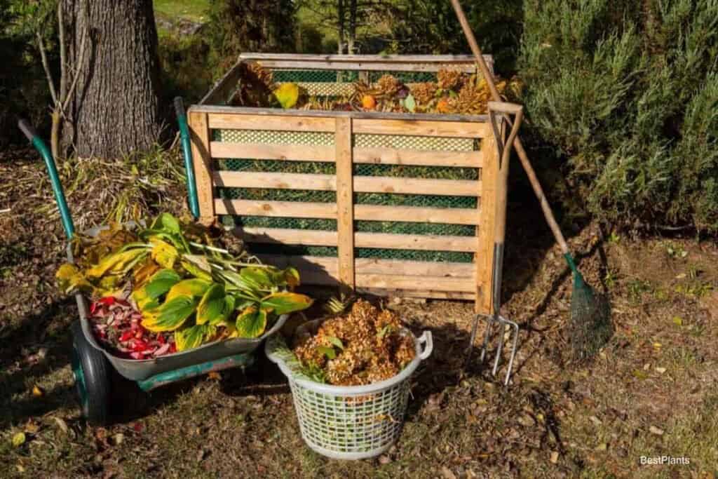 Healthy Garden