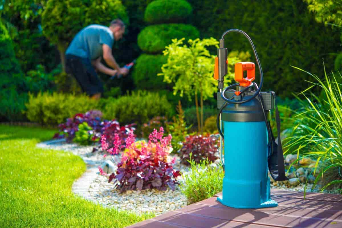 Control Pest and Disease