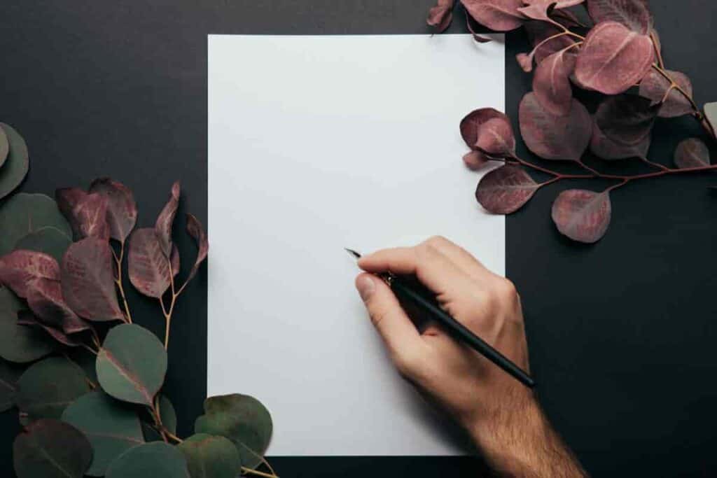 Writers Plan