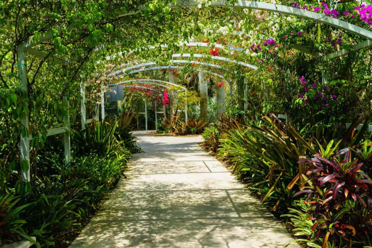 Garden Catalogs