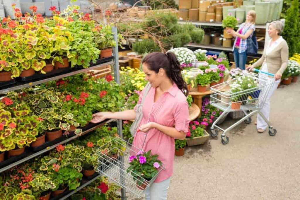 Garden Stores