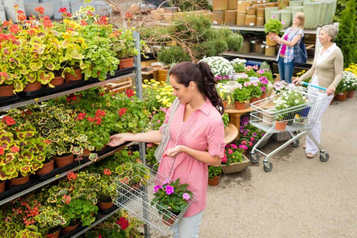Garden Stores
