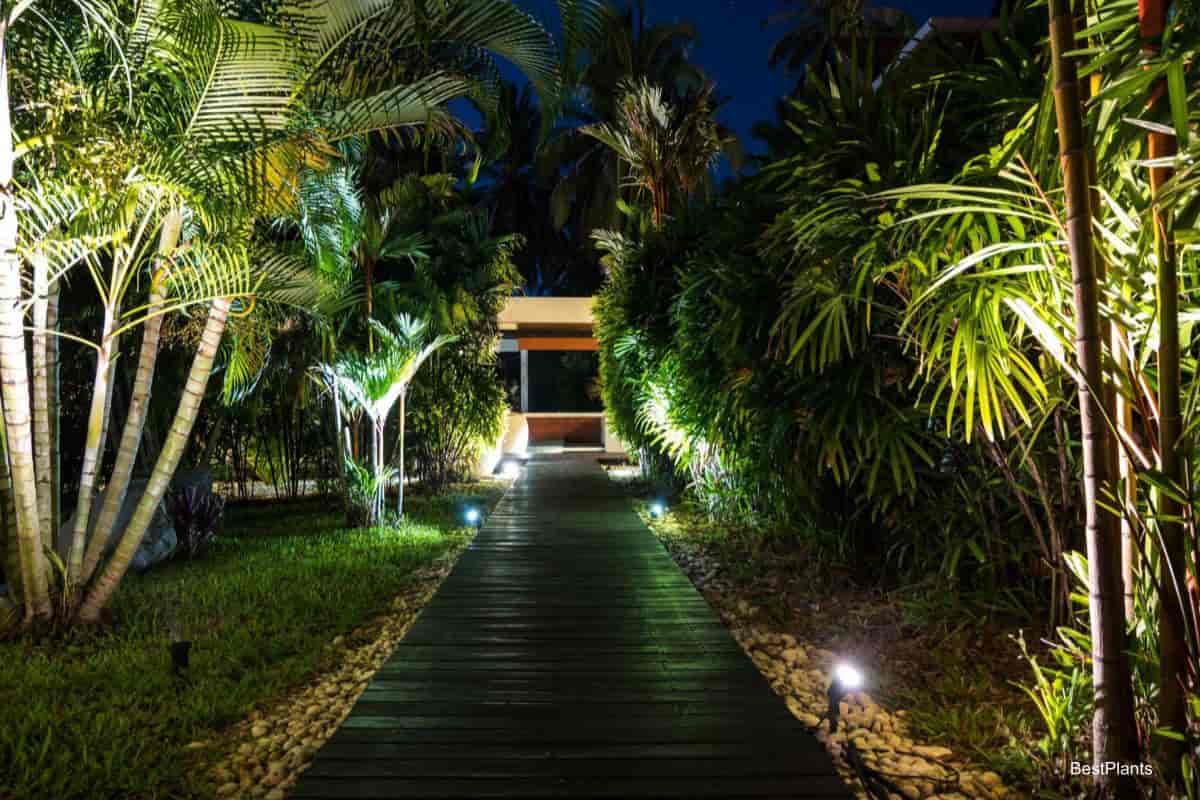 Stunning Garden Lighting