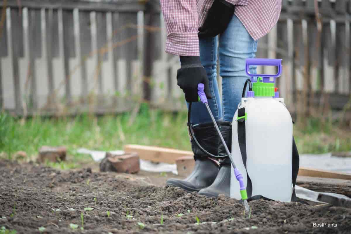 Tools for a healthy garden