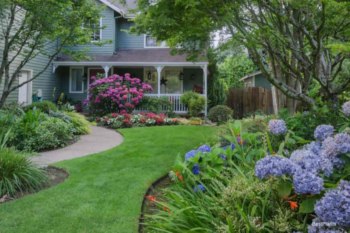 Beautiful Landscaping