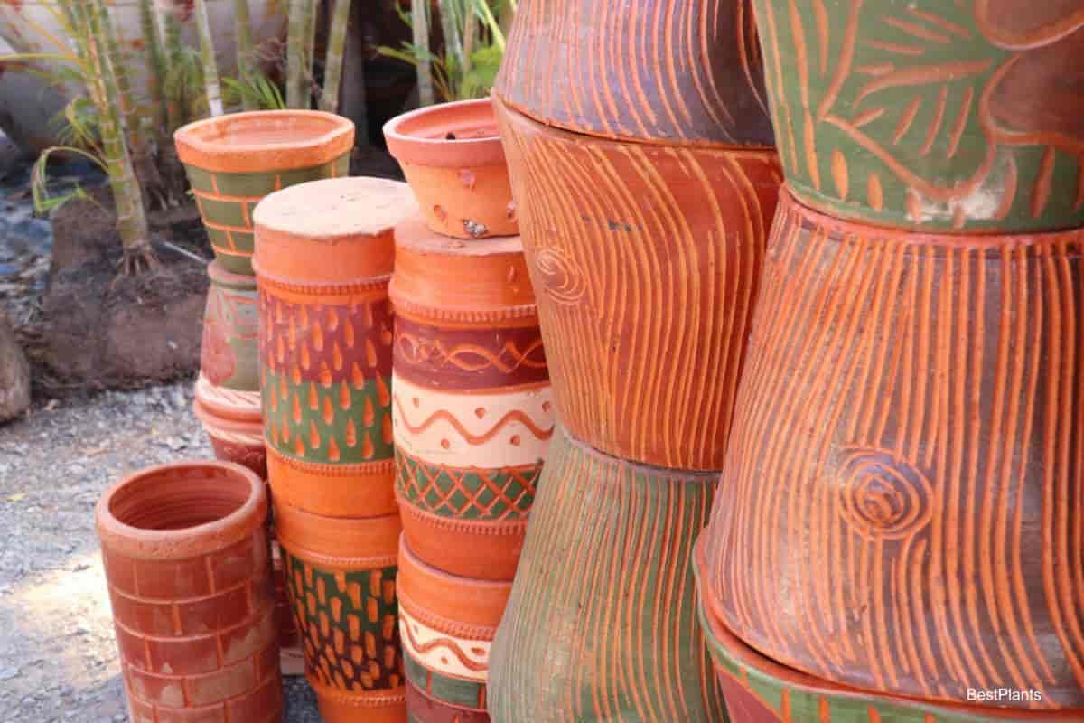 container collection