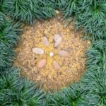 Pinterest Hidden Image