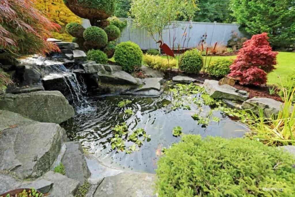waterfalls garden