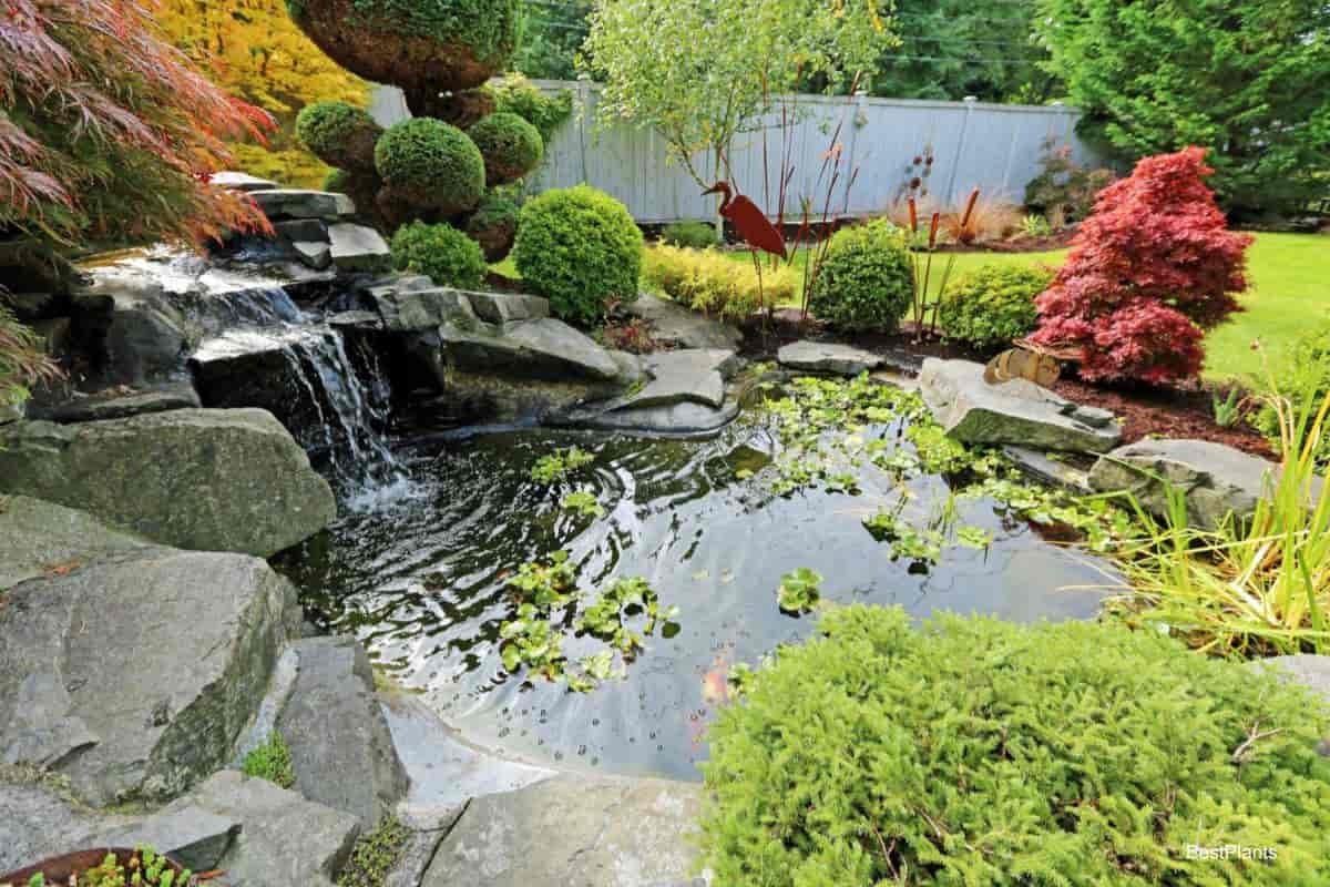 waterfalls garden