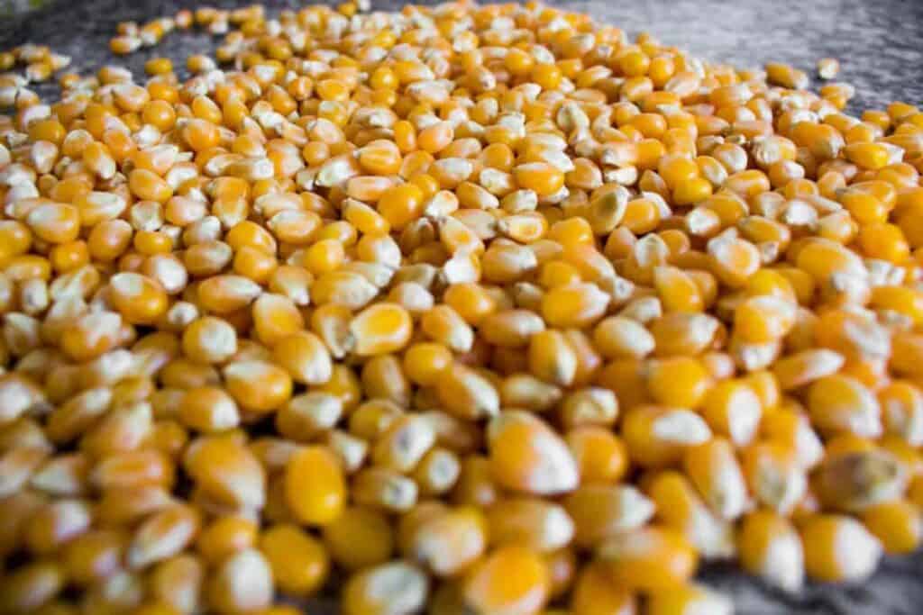 Strawberg Corn