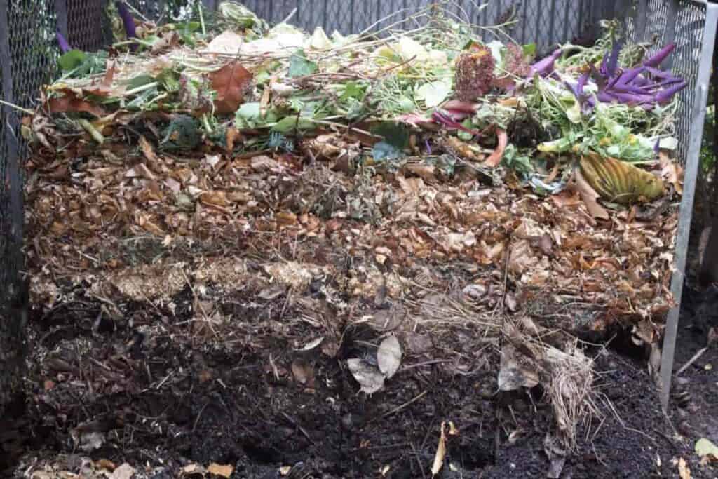 Good Compost Bin