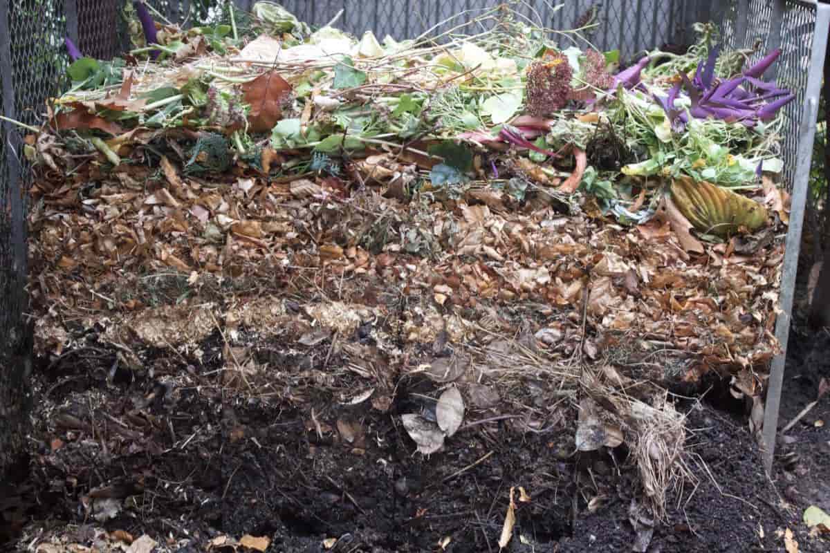 Good Compost Bin