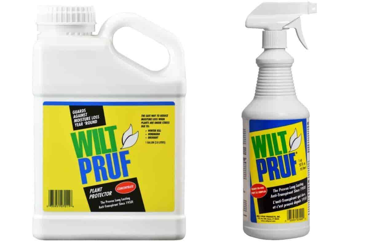 Wilt-Pruf Winter Protector
