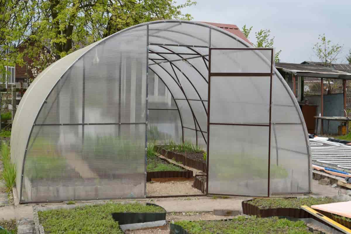greenhouse